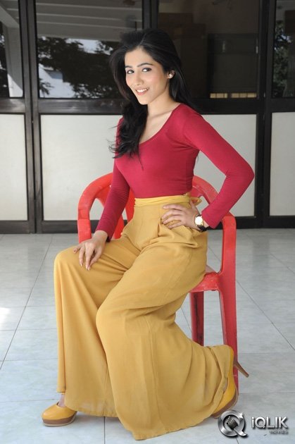 Gazal-Somaiah-at-The-End-Movie-Press-Meet